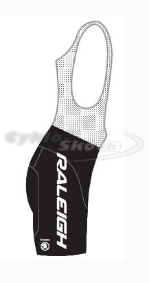 Kraťase se šrákama profi týmu RALEIGH 2014